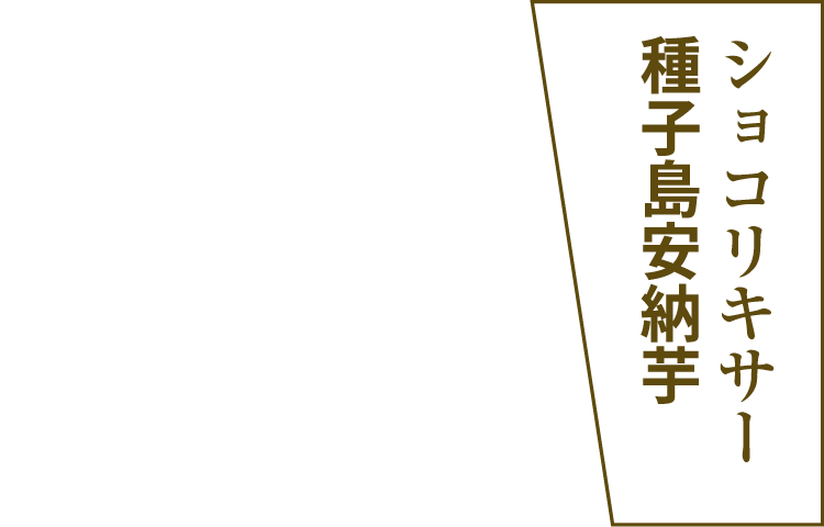 ショコリキサー種子島安納芋