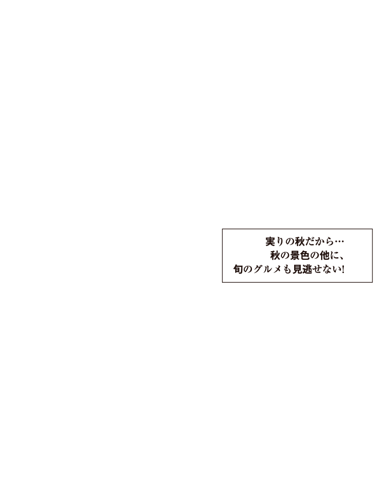 実りの秋だから…秋の景色の他に、旬のグルメも見逃せない